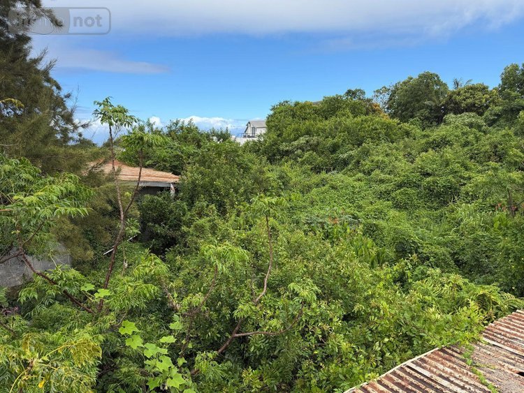 Terrain a batir a vendre Saint-Paul 97460 Réunion 8692 m2  1892000 euros