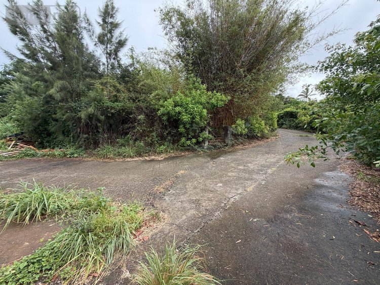 Terrain a batir a vendre Saint-Paul 97460 Réunion 8692 m2  1892000 euros