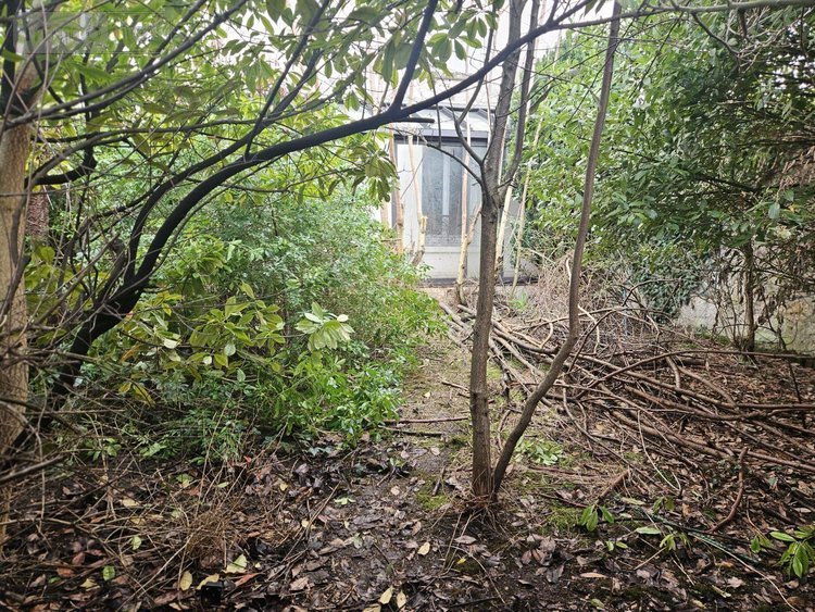 Appartement a vendre Charenton-le-Pont 94220 Val-de-Marne 54 m2 3 pièces 346500 euros