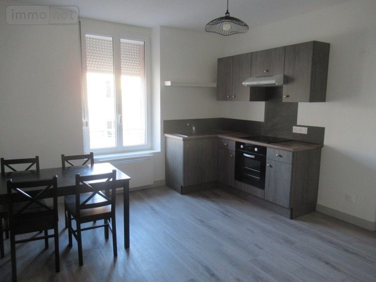 Immeuble a vendre Sainte-Savine 10300 Aube 258 m2  392000 euros