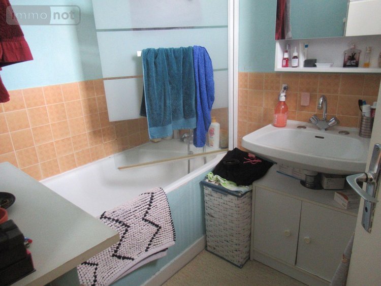 Immeuble a vendre Sainte-Savine 10300 Aube 258 m2  392000 euros