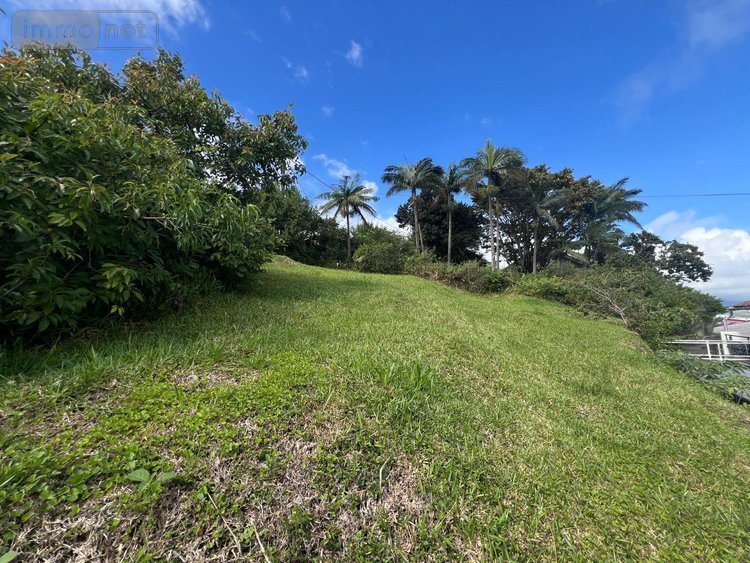 Terrain a batir a vendre Sainte-Marie 97438 Réunion 558 m2  127600 euros