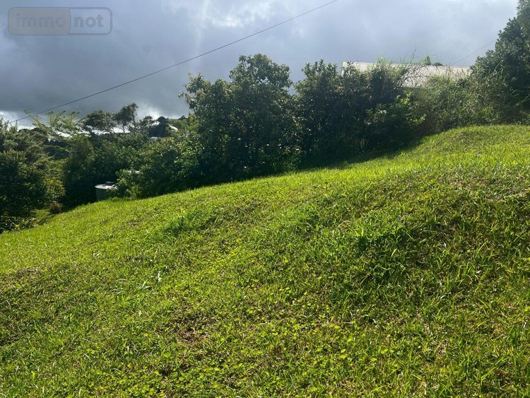 Terrain a batir a vendre Sainte-Marie 97438 Réunion 558 m2  127600 euros