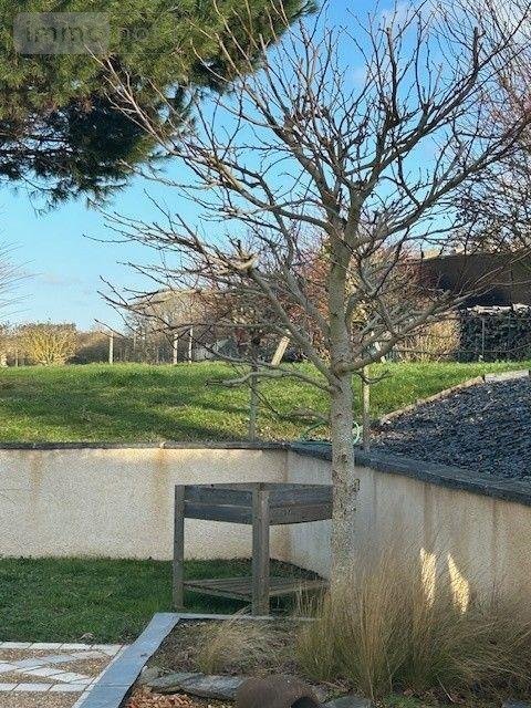 Maison a vendre Baugé-en-Anjou 49150 Maine-et-Loire 161 m2 7 pièces 282150 euros