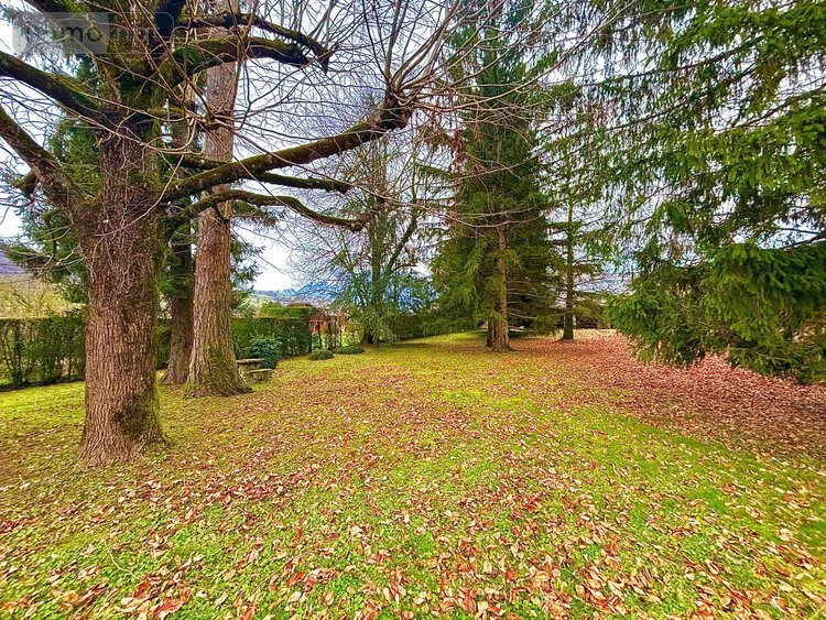 propriete a vendre Villard-Léger 73390 Savoie 390 m2 9 pièces 1275000 euros