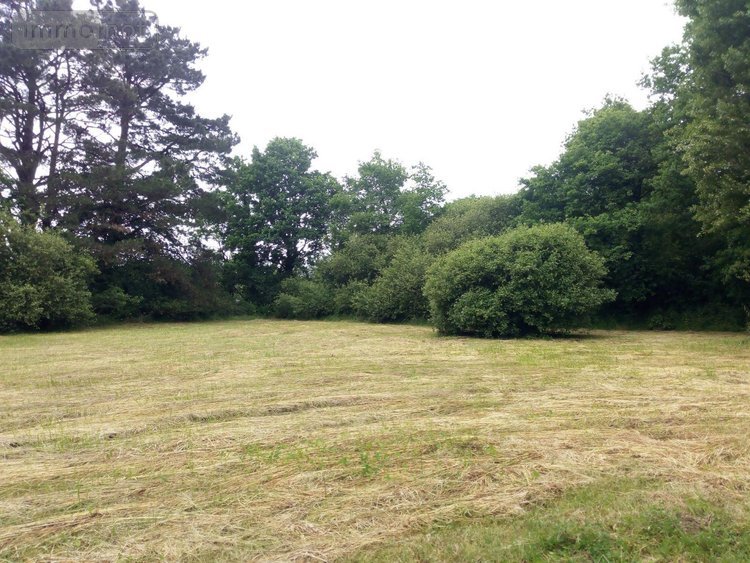 Maison a vendre Fay-de-Bretagne 44130 Loire-Atlantique 132 m2 6 pièces 157080 euros