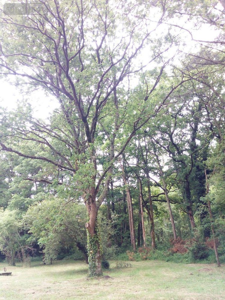 Maison a vendre Fay-de-Bretagne 44130 Loire-Atlantique 132 m2 6 pièces 157080 euros