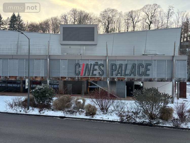 Immeuble a vendre Épinal 88000 Vosges 170 m2  241000 euros