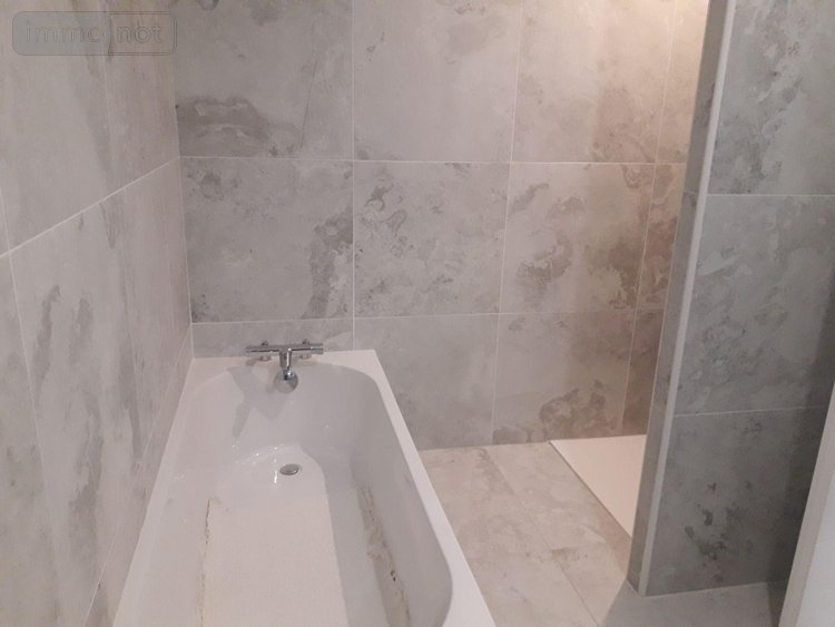 Maison a vendre Le Controis-en-Sologne 41700 Loir-et-Cher 102 m2 4 pièces 260650 euros