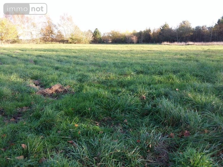 Maison a vendre Sassay 41700 Loir-et-Cher 250 m2 9 pièces 332750 euros