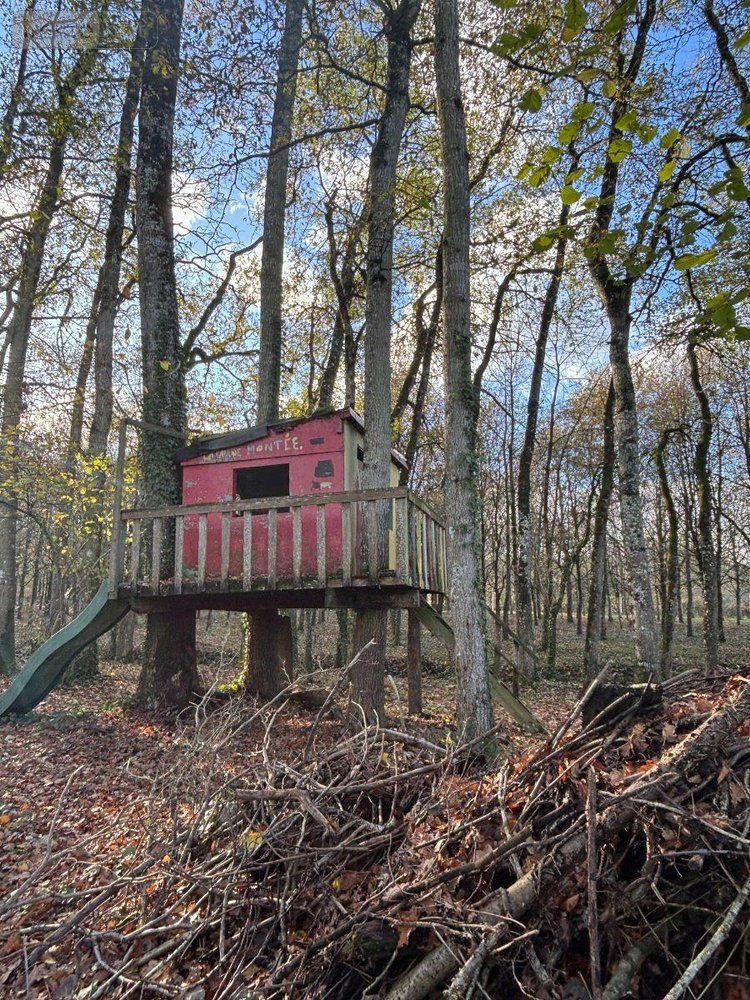 Terrains de loisirs bois etangs a vendre Combourtillé 35210 Ille-et-Vilaine 5222 m2  51980 euros