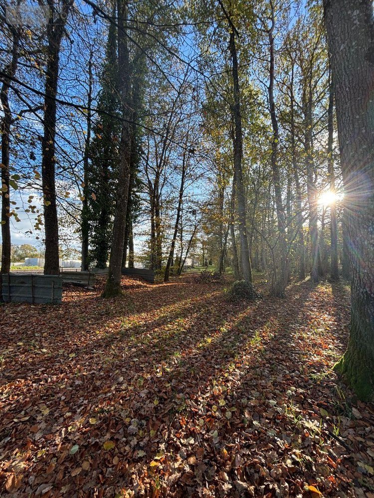 Terrains de loisirs bois etangs a vendre Combourtillé 35210 Ille-et-Vilaine 5222 m2  51980 euros