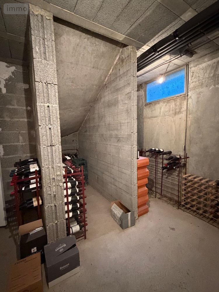 Maison a vendre Culoz Béon 01350 Ain 199 m2 6 pièces 650000 euros