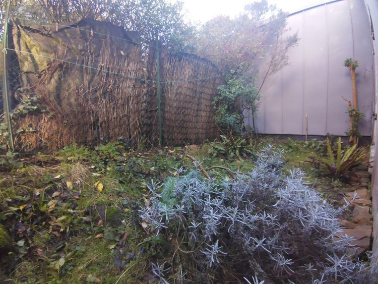 Maison a vendre Plougasnou 29630 Finistère 60 m2 4 pièces 126000 euros