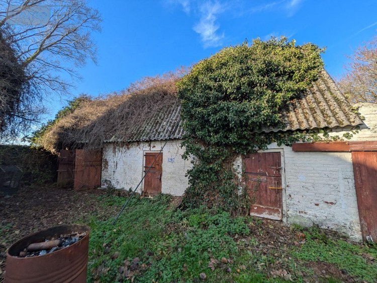 Maison a vendre Wormhout 59470 Nord 93 m2 4 pièces 191370 euros