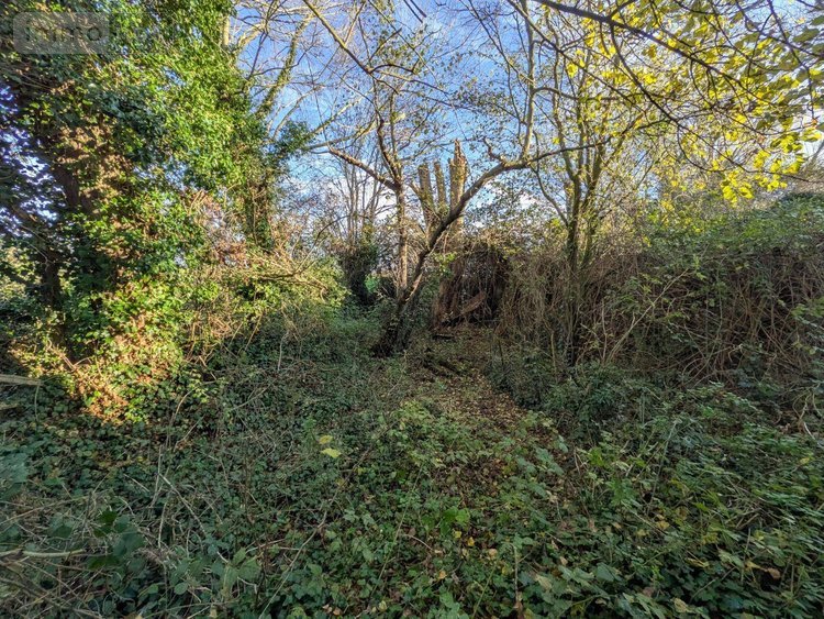 Maison a vendre Wormhout 59470 Nord 93 m2 4 pièces 191370 euros