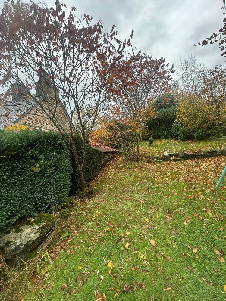 Maison a vendre Anglards-de-Salers 15380 Cantal 165 m2  159000 euros