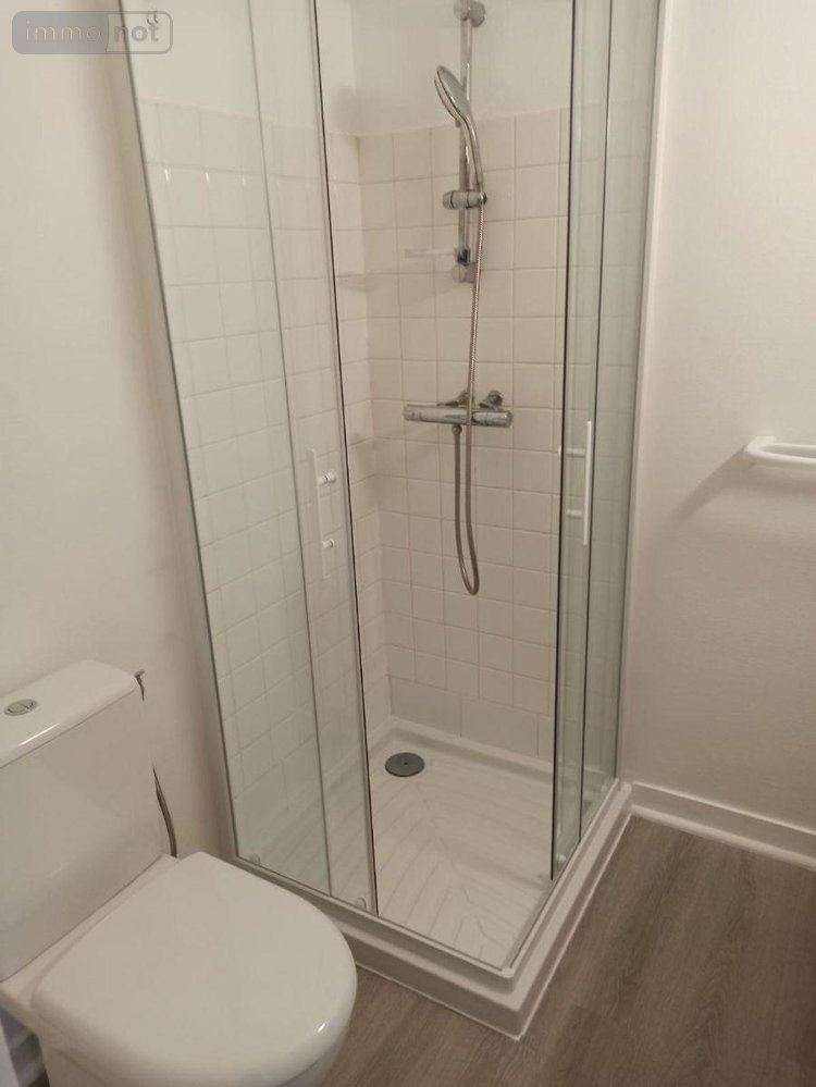 Location appartement Vitré 35500 Ille-et-Vilaine 37 m2 3 pièces 410 euros