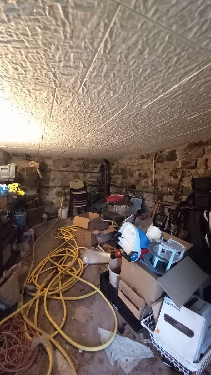 Maison a vendre Collandres 15400 Cantal 175 m2  263500 euros