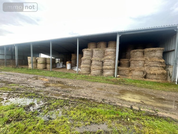 Maison a vendre Le Grand-Lucé 72150 Sarthe 122 m2  183750 euros