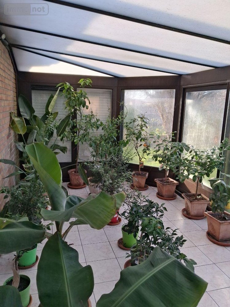 Maison a vendre Brouckerque 59630 Nord 132 m2 6 pièces 286000 euros