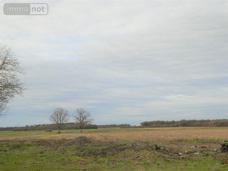 propriete a vendre Sublaines 37310 Indre-et-Loire 114 m2  209390 euros