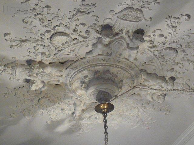 Maison a vendre Rambervillers 88700 Vosges 350 m2 15 pièces 100000 euros