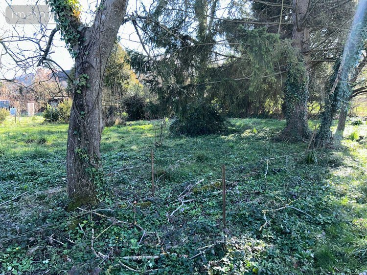 Maison a vendre Mer 41500 Loir-et-Cher 153 m2 6 pièces 157800 euros