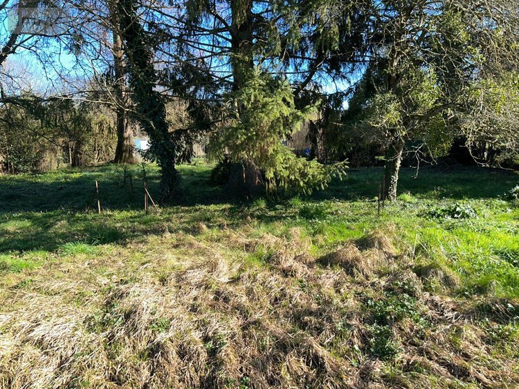 Maison a vendre Mer 41500 Loir-et-Cher 153 m2 6 pièces 157800 euros