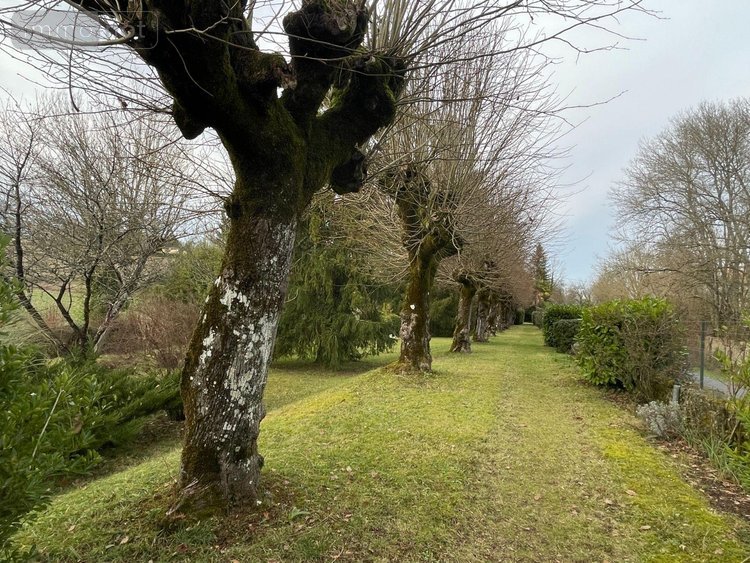 Maison a vendre Villetoureix 24600 Dordogne 140 m2 5 pièces 171200 euros