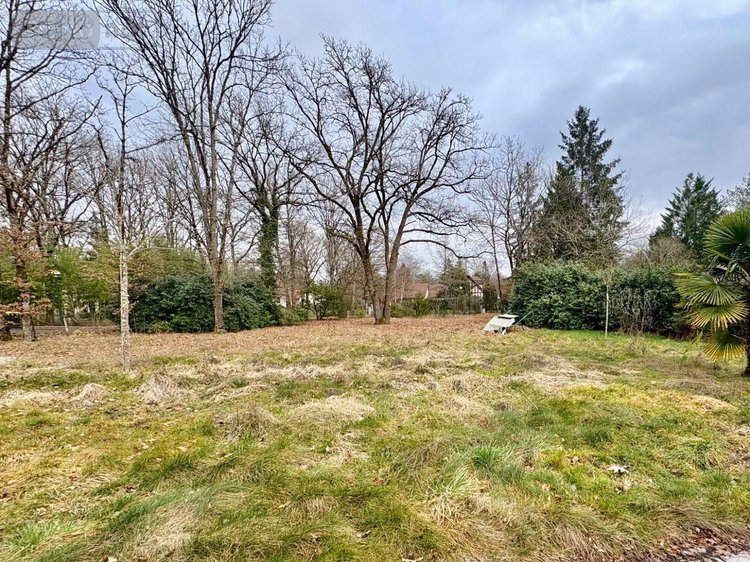 Maison a vendre Nouan-le-Fuzelier 41600 Loir-et-Cher 167 m2 6 pièces 275600 euros