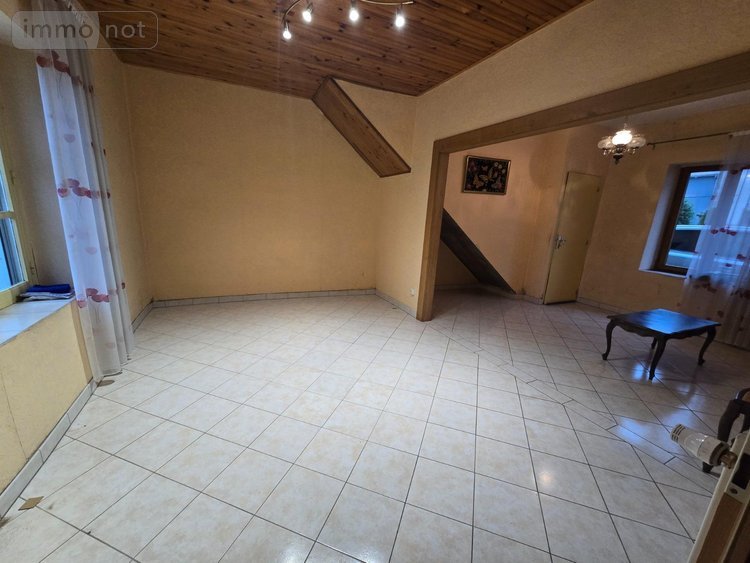 Immeuble a vendre Xertigny 88220 Vosges 120 m2  107000 euros