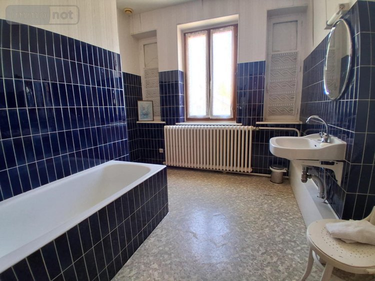 propriete a vendre Docelles 88460 Vosges 222 m2 10 pièces 249000 euros