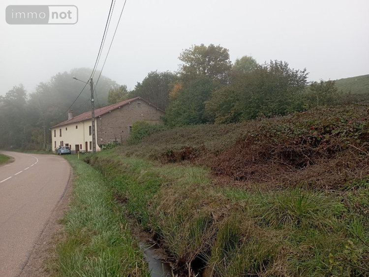 Viager maison Charmois-l'Orgueilleux 88270 Vosges  60000 euros