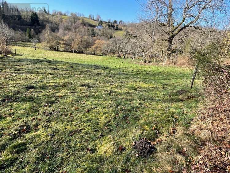 Maison a vendre Beulotte-Saint-Laurent 70310 Haute-Saône 100 m2  71000 euros