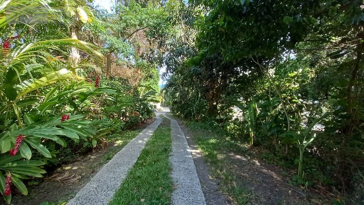 propriete a vendre Deshaies 97126 Guadeloupe 312 m2 9 pièces 1295000 euros