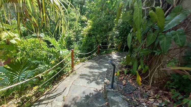 propriete a vendre Deshaies 97126 Guadeloupe 312 m2 9 pièces 1195000 euros