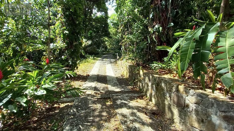 propriete a vendre Deshaies 97126 Guadeloupe 312 m2 9 pièces 1195000 euros