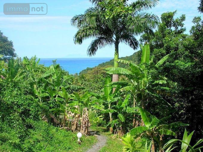 propriete a vendre Deshaies 97126 Guadeloupe 312 m2 9 pièces 1195000 euros