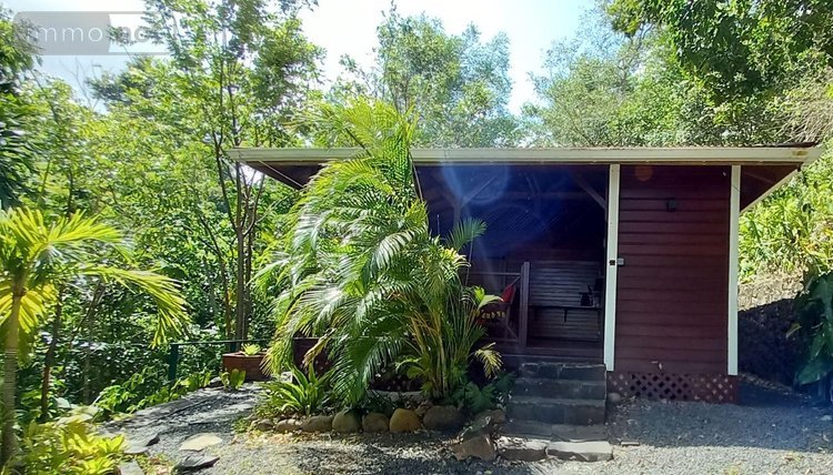propriete a vendre Deshaies 97126 Guadeloupe 312 m2 9 pièces 1195000 euros