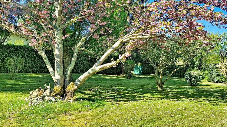 Maison a vendre Bouliac 33270 Gironde 267 m2 8 pièces 645000 euros