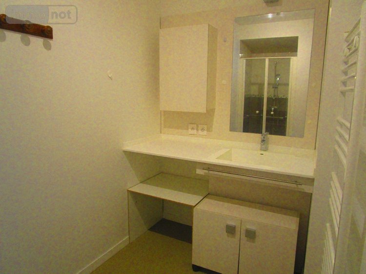 Immeuble a vendre Châteauroux 36000 Indre 65 m2  120000 euros