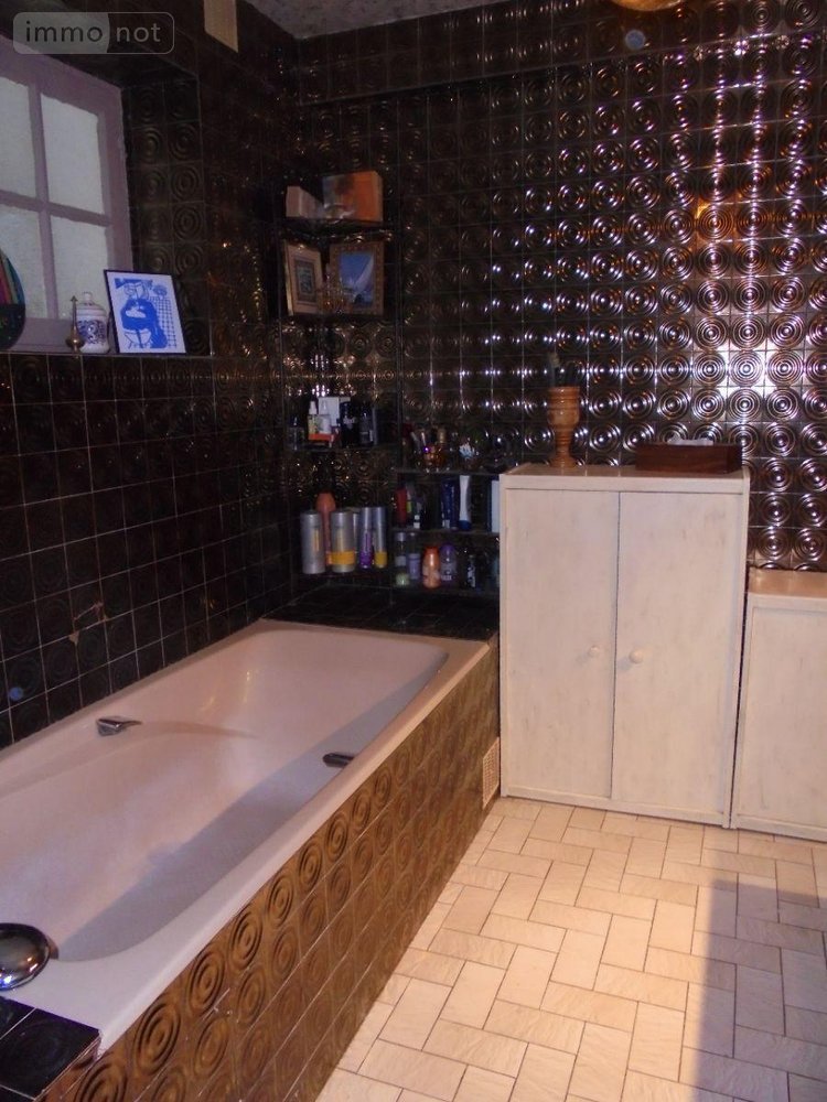 Maison a vendre Josnes 41370 Loir-et-Cher 350 m2 7 pièces 377800 euros