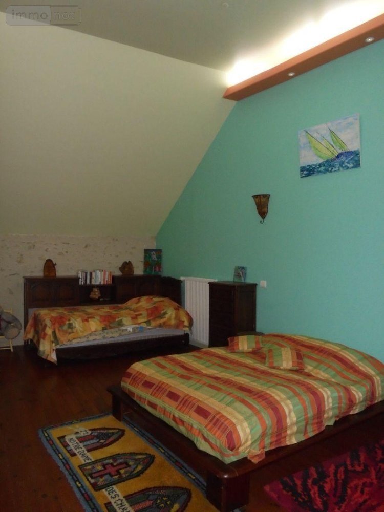Maison a vendre Josnes 41370 Loir-et-Cher 350 m2 7 pièces 377800 euros