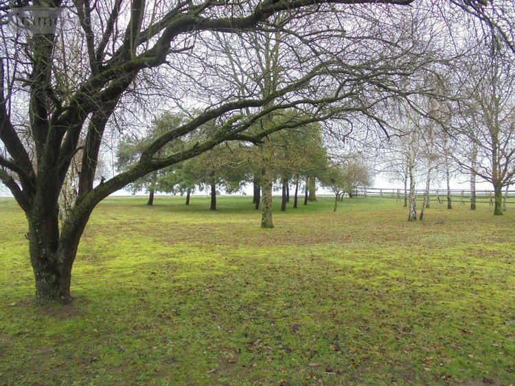 Maison a vendre Josnes 41370 Loir-et-Cher 350 m2 7 pièces 377800 euros