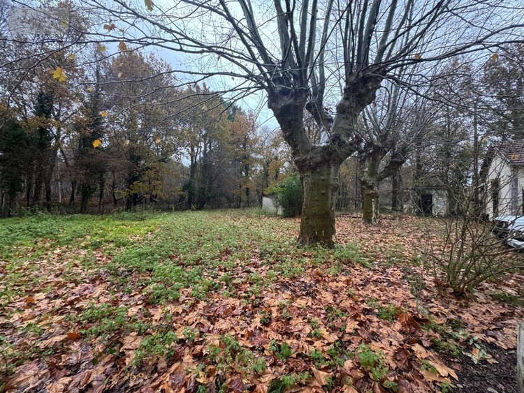 Maison a vendre Hourtin 33990 Gironde 150 m2 6 pièces 168000 euros