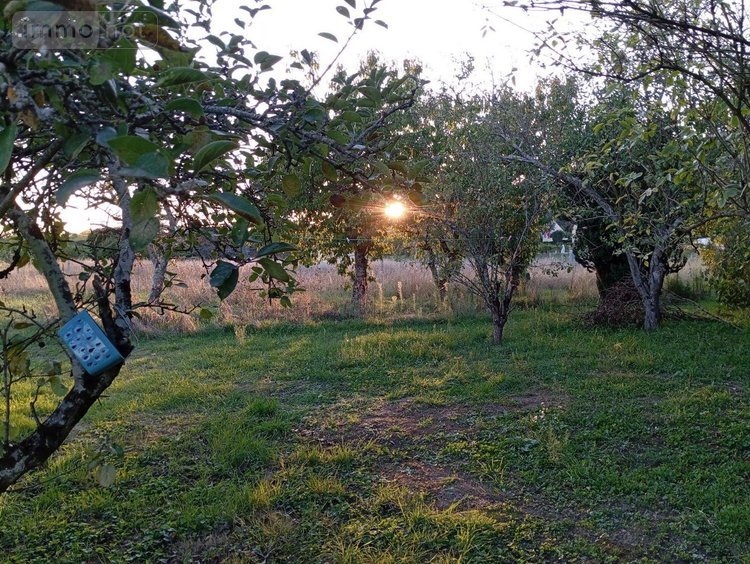 Maison a vendre Montrichard-Val-de-Cher 41400 Loir-et-Cher 95 m2 4 pièces 189197 euros