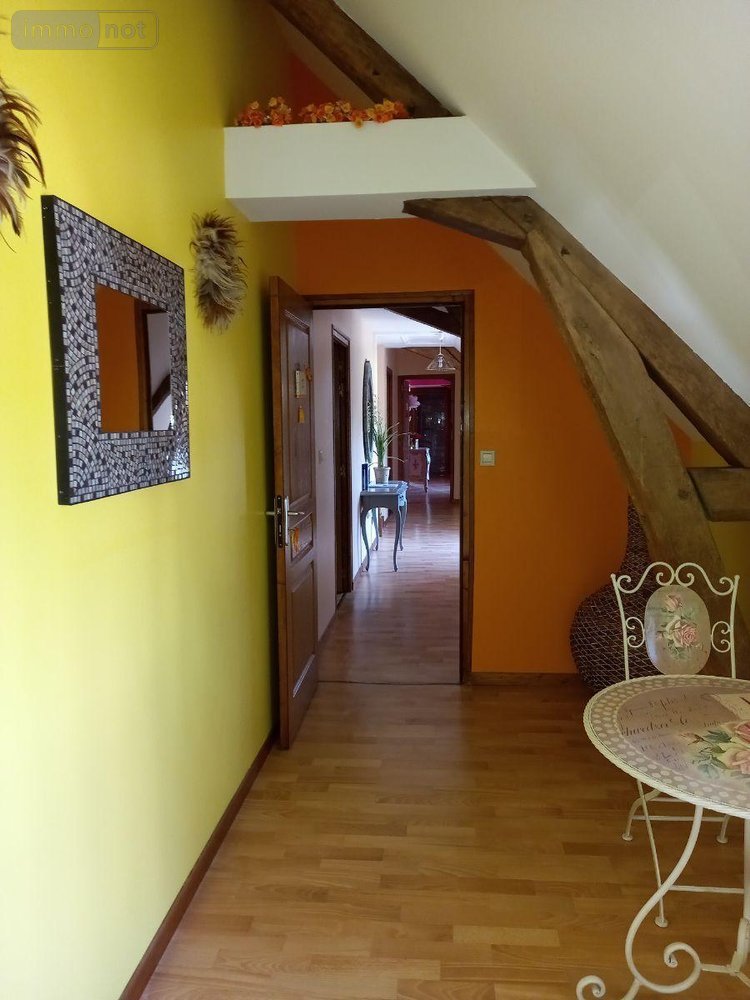 Maison a vendre Le Tranger 36700 Indre 350 m2 14 pièces 455000 euros