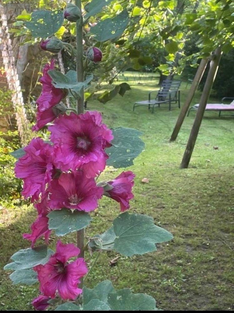 Maison a vendre Nogent-le-Rotrou 28400 Eure-et-Loir 209 m2 6 pièces 349000 euros