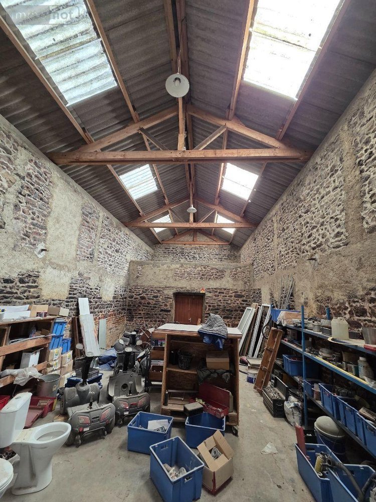 Immeuble a vendre Mayenne 53100 Mayenne 350 m2  84000 euros
